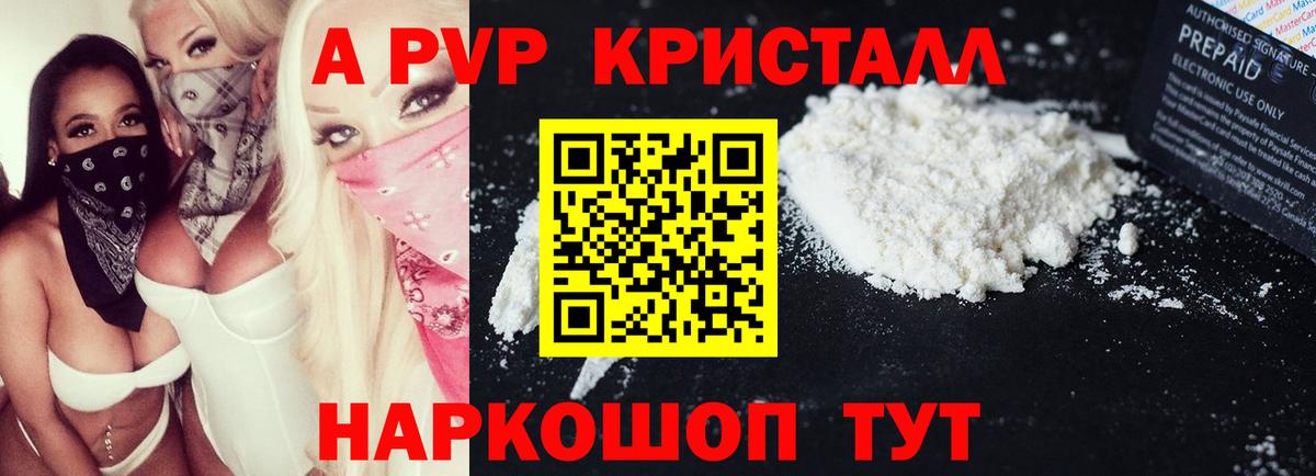 Alfa_PVP СК Вологда