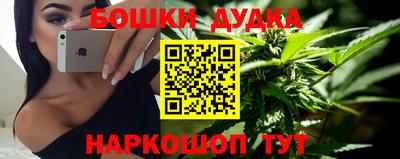 прущие крисы Кингисепп