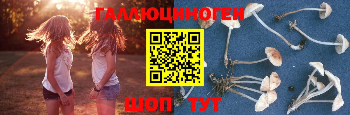 Псилоцибиновые грибы GOLDEN TEACHER Вологда