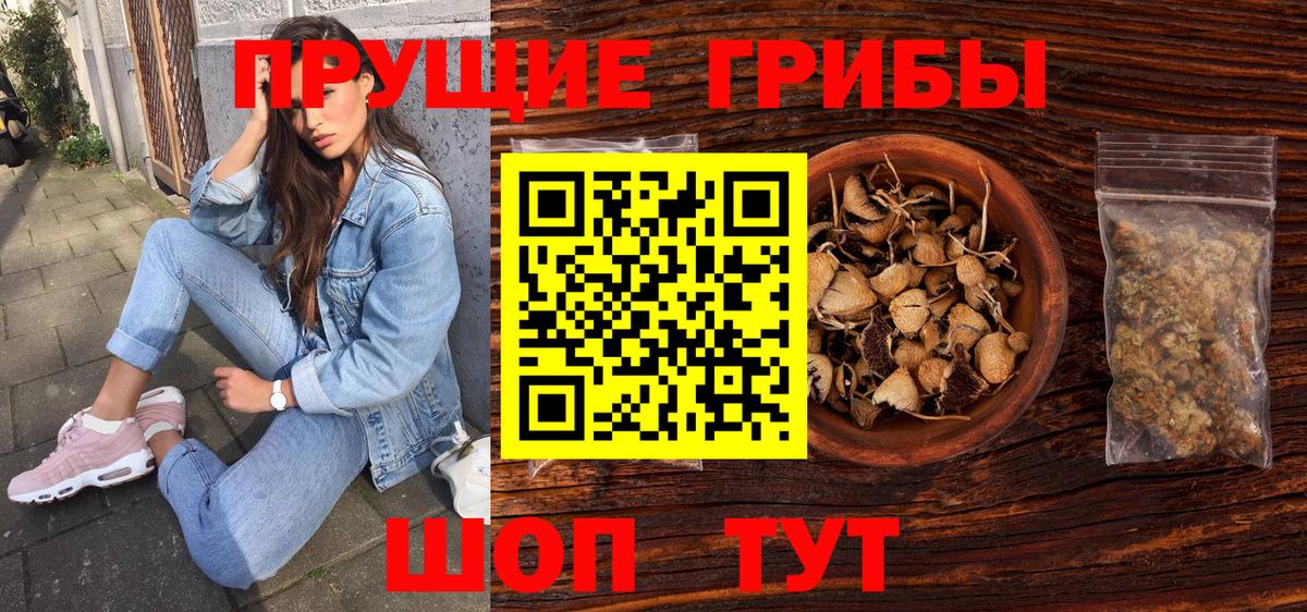 Вологда  Галлюциногенные грибы Psilocybe  Псилоцибиновые грибы Psilocybine cubensis  Вход с VPN 